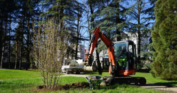 De nouveaux arbres en ville