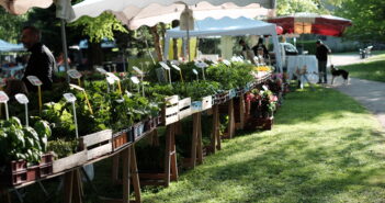 4ème édition de la Fête de la nature